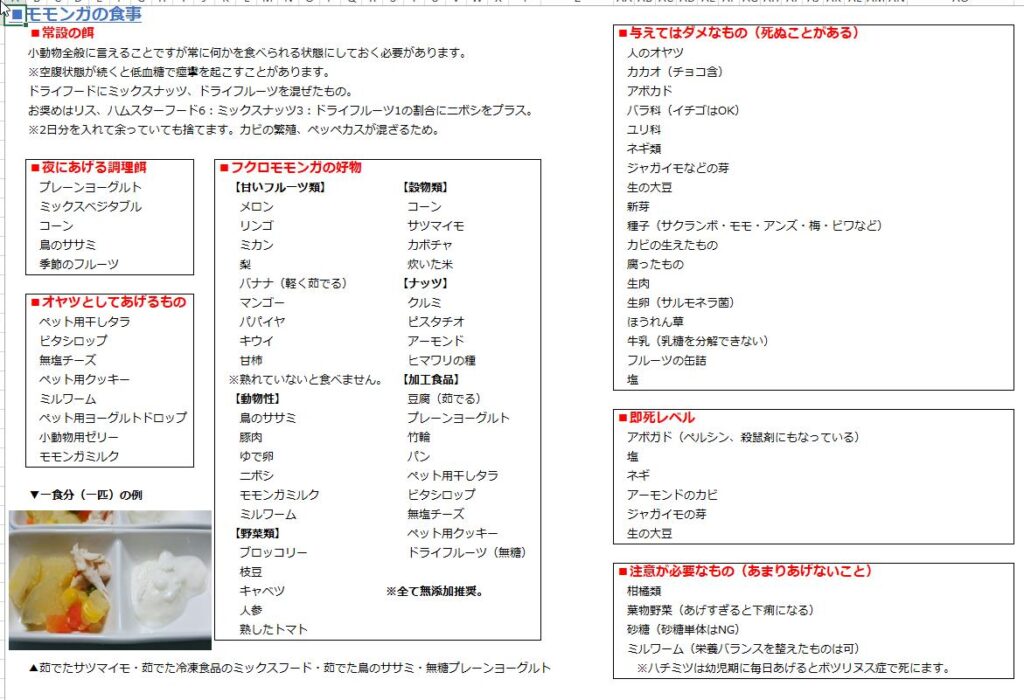 フクロモモンガの食事